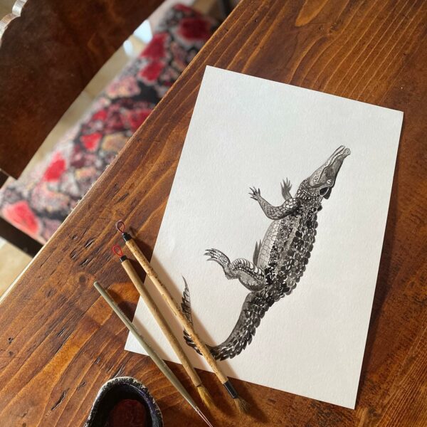 Encre de chine illustration crocodile | le Bestiaire