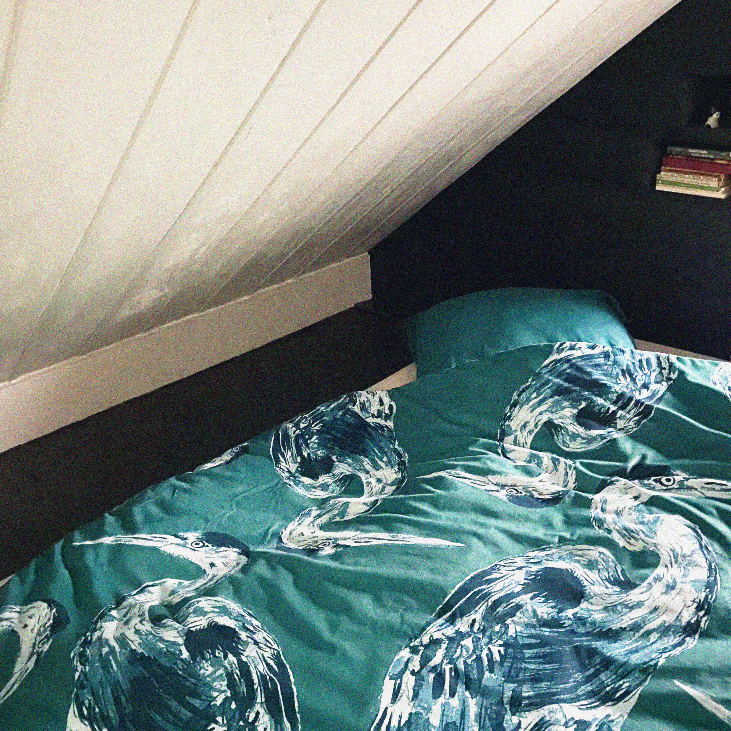 Edredon Hérons | Le Bestiaire