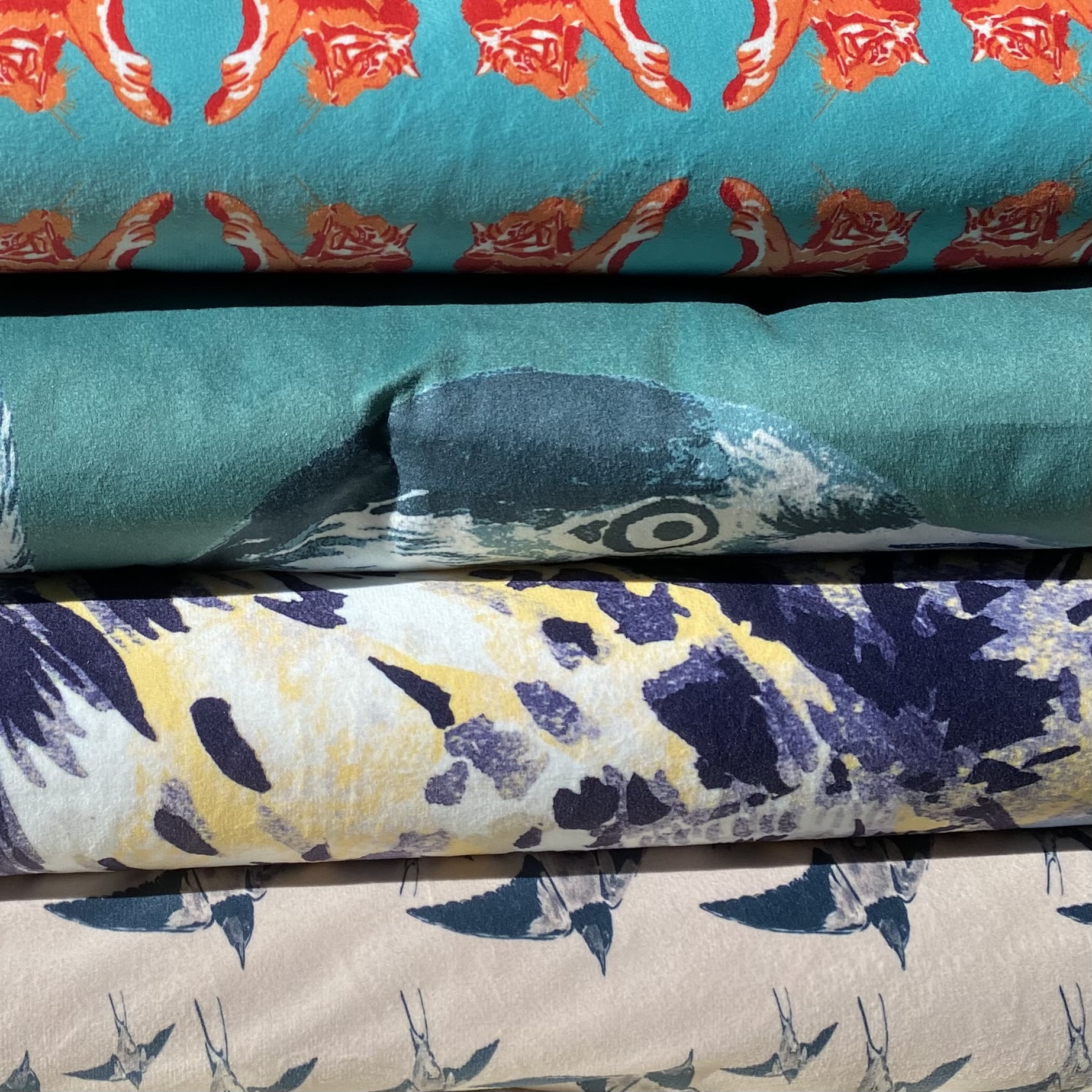 Edredons | Le Bestiaire