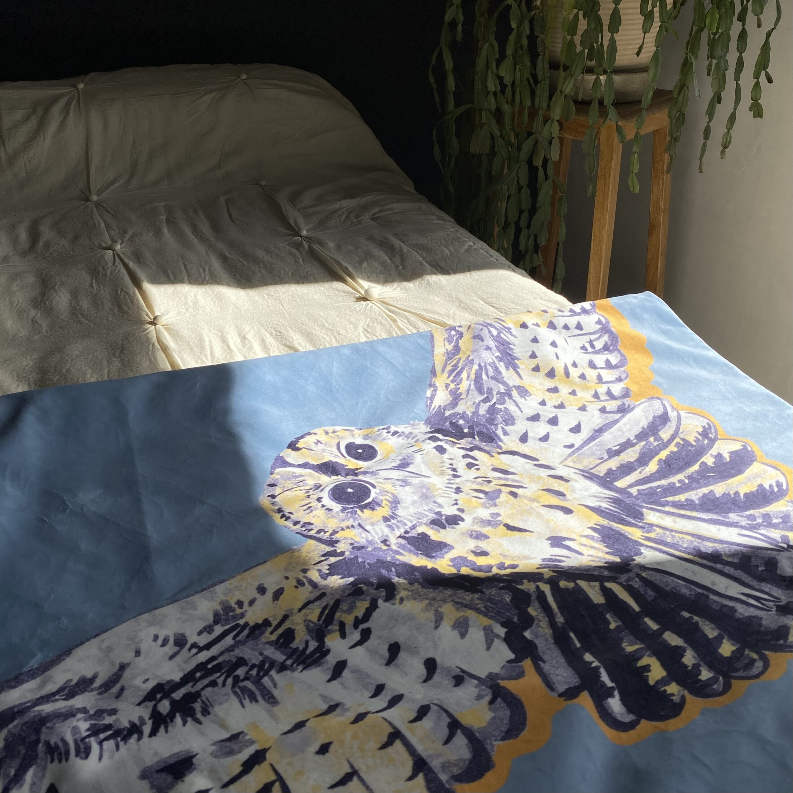 Edredon Les Chouettes | Le Bestiaire