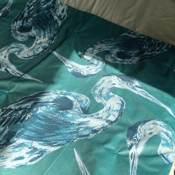 Édredon – Les Hérons