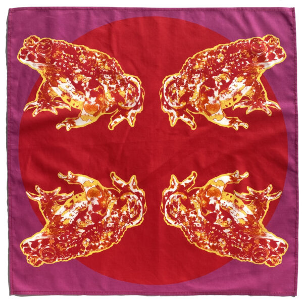 Bandana Les Crapauds
