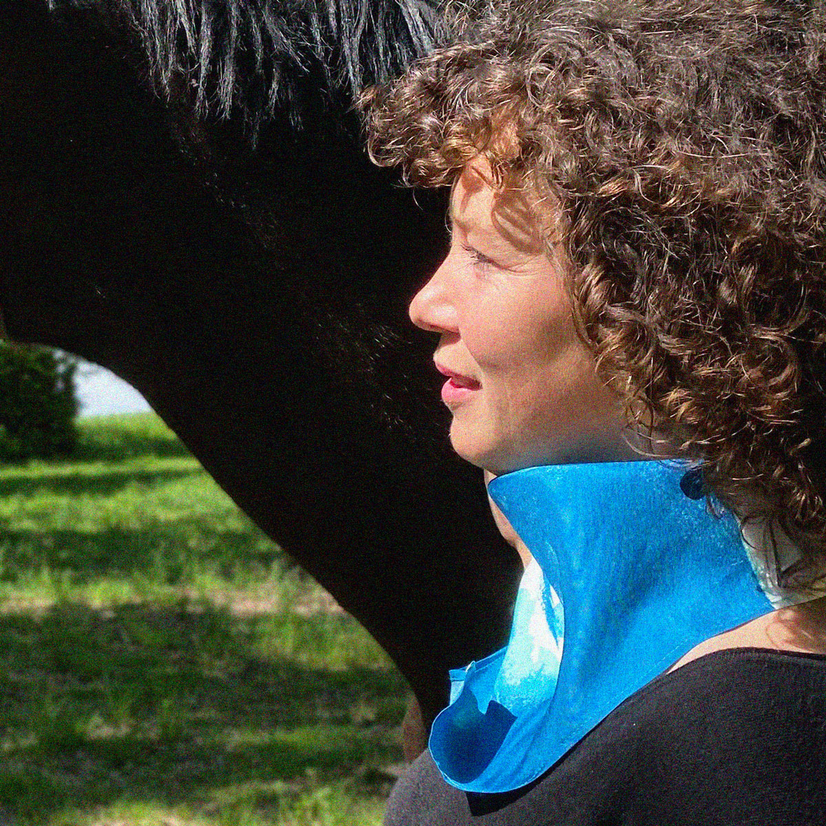 Foulard en soie Les Chevaux | Le Bestiaire