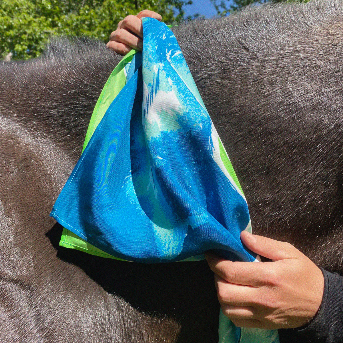 Foulard en soie Les Chevaux | Le Bestiaire