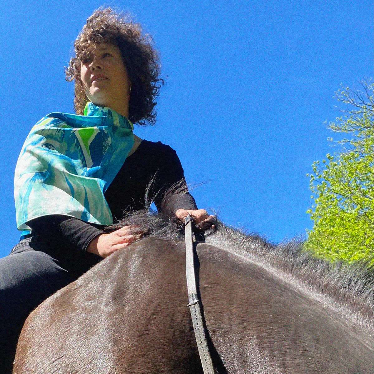 Foulard en soie Les Chevaux | Le Bestiaire