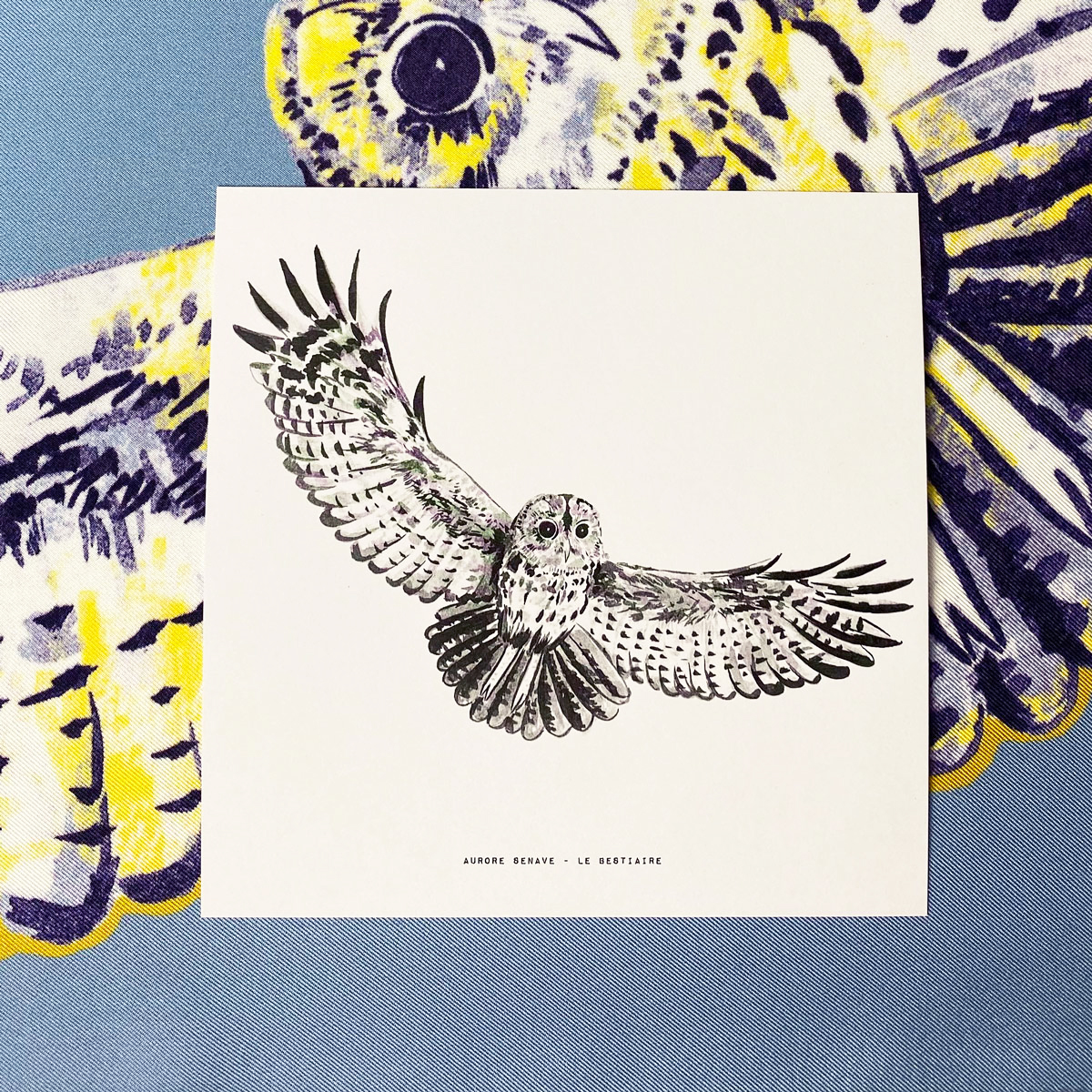 Cartes | Le Bestiaire