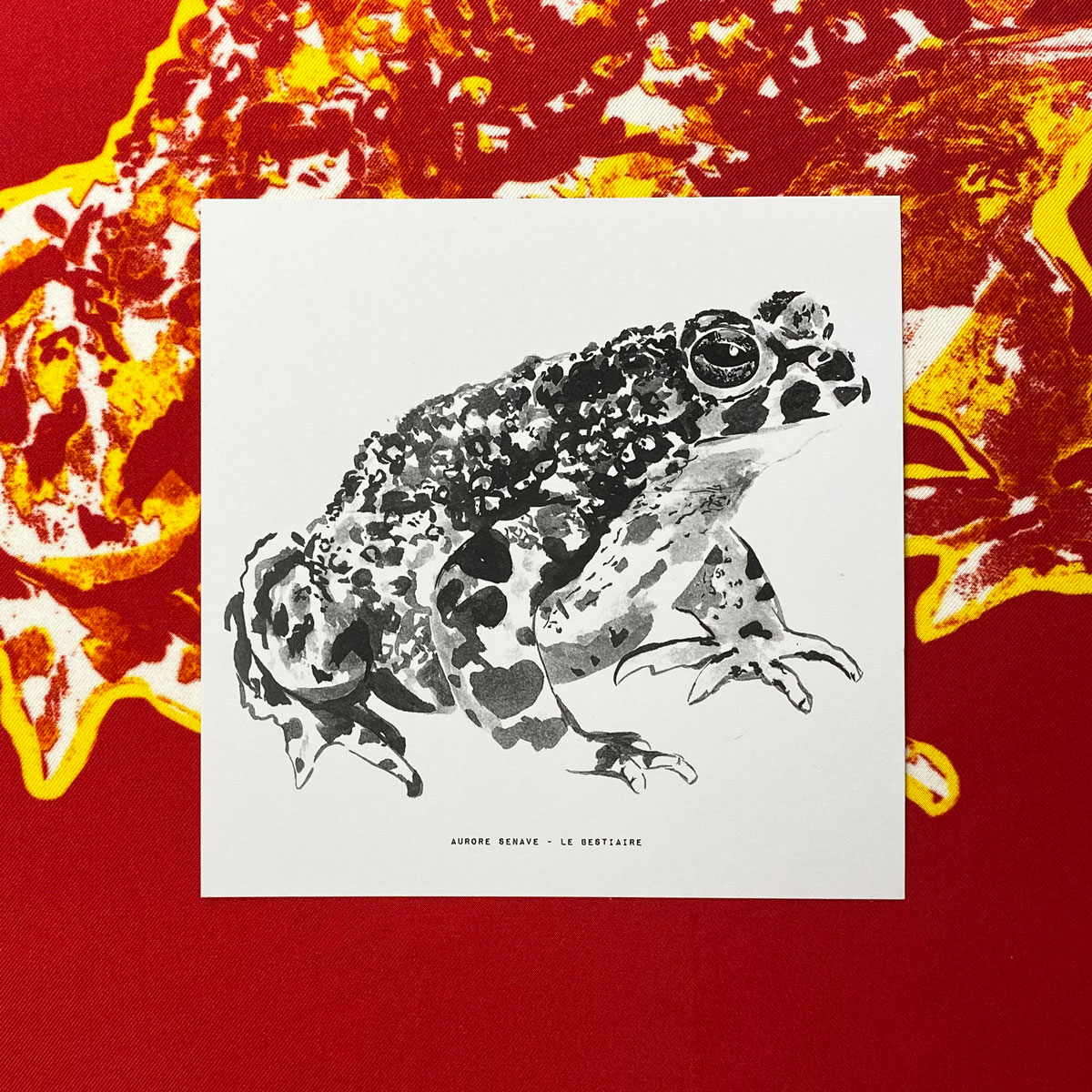 Cartes | Le Bestiaire