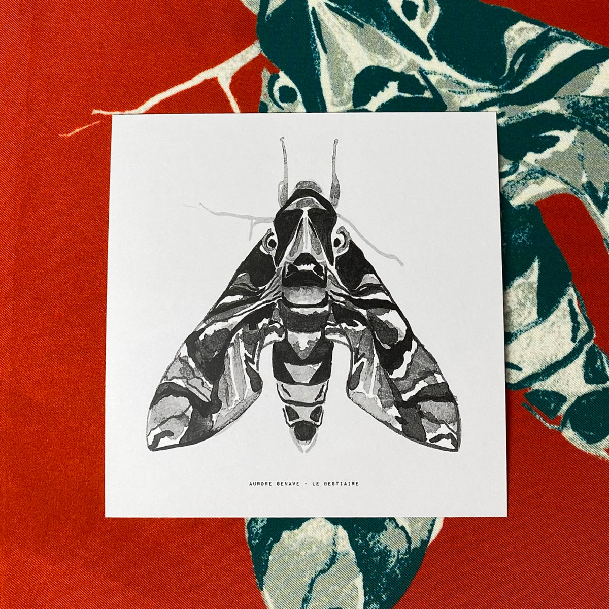 Cartes | Le Bestiaire